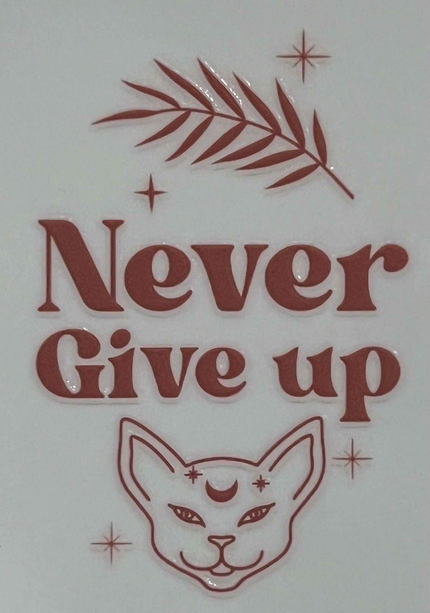 Never Give Up