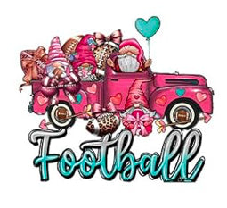 Pink Football 19