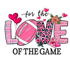 Pink Football 06