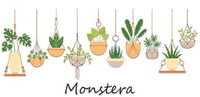 Plants 01